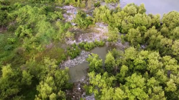 Vista Aérea Basura Reúnen Atrapados Árbol Manglar Verde Contaminación Ambiental — Vídeos de Stock