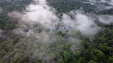 Malezya ormanlarında göl üzerindeki hava manzaralı beyaz bulut