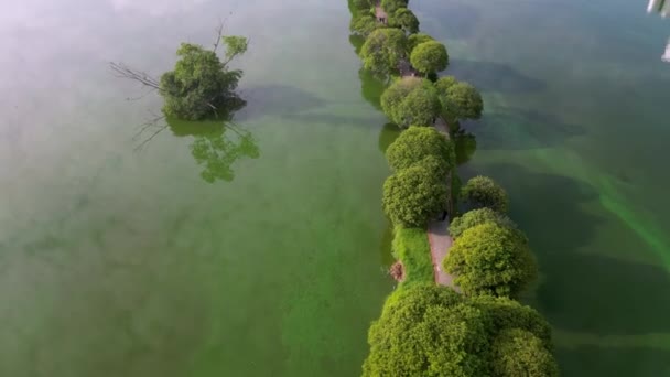Αεροφωτογραφία Καθαρή Λίμνη Και Φυσική Διαδρομή Άσκησης Στο Πάρκο Taman — Αρχείο Βίντεο