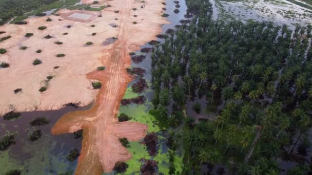 Drohnenschuss Land Rodung Ölpalmenfarm Wird Überflutet — Stockvideo