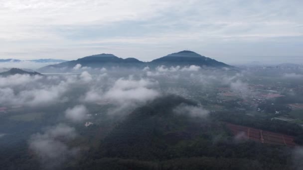 Drone Tiro Movimiento Sobre Plantación Bukit Mertajam — Vídeos de Stock