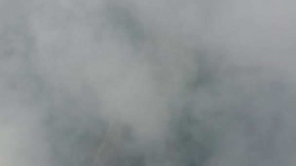 Vista Aérea Visão Turva Caminho Floresta Manguezais Devido Liberação Fumaça — Vídeo de Stock