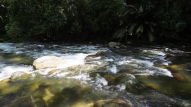 Sungai Sedim yağmur ormanlarındaki kayaların üzerindeki güneşli ışık akışı