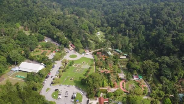 Vista Aerea Verde Lussureggiante Giardino Botanico Penang — Video Stock