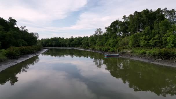 Déplacer Sur Reflet Bateau Bois Mangrove Près Rivière — Video