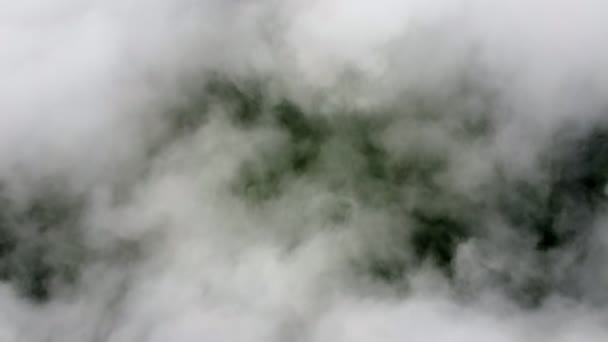 Vuelo Aéreo Sobre Nube Baja Bosque Verde Malasia — Vídeo de stock
