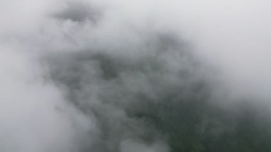 İnsansız hava aracı Malezya ormanında beyaz bulut vurdu