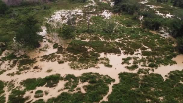 Luchtfoto Wetland Regen Maleisië — Stockvideo