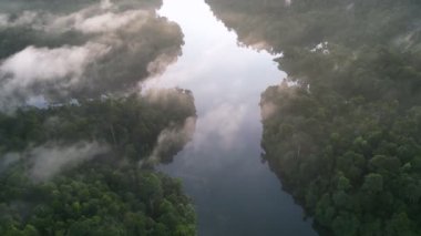 Hava dönüşümlü görüntüsü, yağmur ormanlarında sabah gündoğumu gölü.