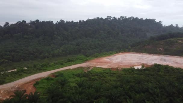 Vista Aérea Suelo Arcilla Roja Para Desarrollo Plantación Palma Aceitera — Vídeo de stock
