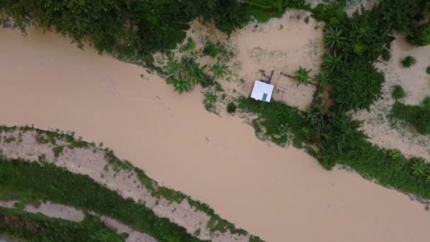 Air Melihat Bawah Banjir Terjadi Hijau Lush Outdoor — Stok Video