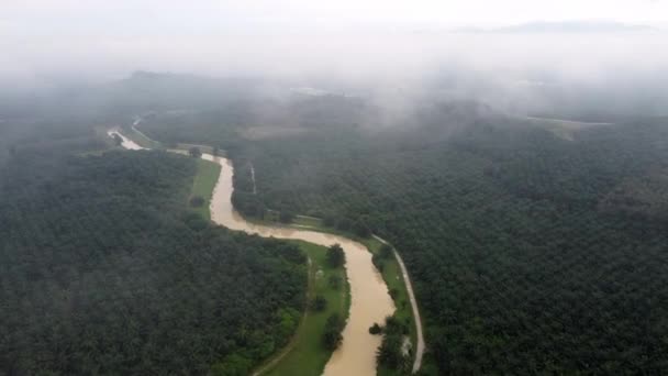 マレーシアの川とアブラヤシのプランテーションの近くの霧に覆われた雲の上を飛ぶ — ストック動画