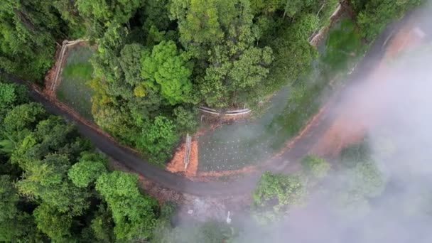 低云天丛林中的空中观景沥青路 — 图库视频影像