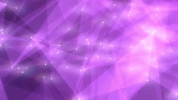 紫色の光のプレキシス構造点光源のアニメーションの背景 科学技術の動き — ストック動画