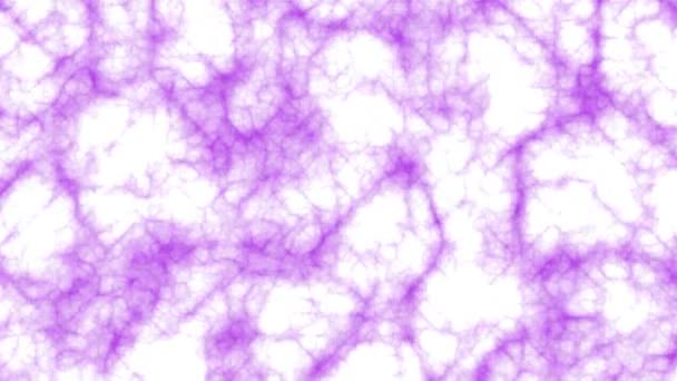 Фиолетовая Запутанная Частица Белом Фоне Анимации Компьютер Рендеринг — стоковое видео