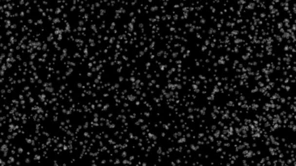 Повільний Рух Снігу Падає Верхньої Анімації Темному Тлі Графічне Візуалізація — стокове відео