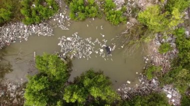 Havadan inen plastik çöp kutusuna bak. Yeşil yemyeşil mangrov ağacı bölgesinde.