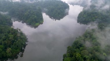 Yağmur ormanlarında turkuaz gölün üzerinde uçan hava aracı