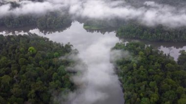 İHA atışı Malezya 'daki yağmur ormanlarındaki sisli bulut örtülü gölün üzerinden geçti