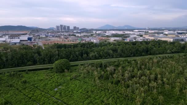 Batu Kawan Penang Malaysia Oct 2022 Aerial View Green Lush — Wideo stockowe