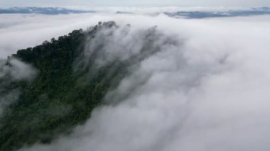 Slow move toward waterfall cloud in rainforest Malaysia