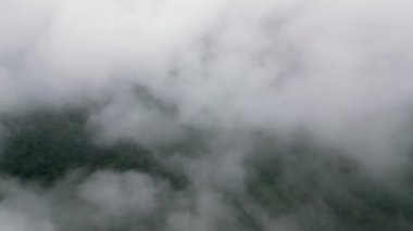 Drone shot fly over white cloud in forest