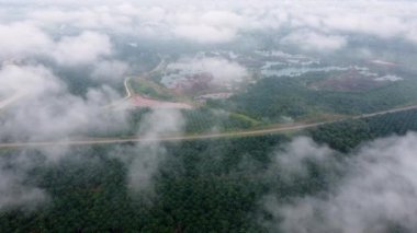 Aerial view mover over cloud at oil palm and abandoned quarry