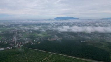 Aerial view low cloud at oil palm farm near rural Malays village