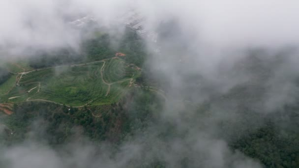 Вид Воздуха Низкие Облака Движутся Плантации Малайзии — стоковое видео