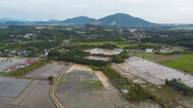 Drone hyperlapse move forward rural area of Permatang Pauh, Penang during paddy field water season