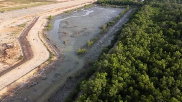 Mangrov Ormanının Üzerinden Uçarak Karaya Doğru Ilerliyorlar Gelişme Için Temiz — Stok video