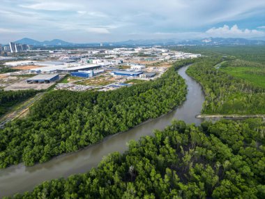 Batu Kawan, Penang, Malezya - 20 Ekim 2022: Gökyüzü manzaralı yeşil mangrov ağacı ormanı ve Batu Kawan Sanayi Parkı 'nın arka planı