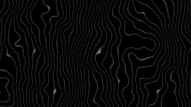 Beyaz hatlı topoğrafya şekilli animasyon arka planı. 2B bilgisayar oluşturma şablonu