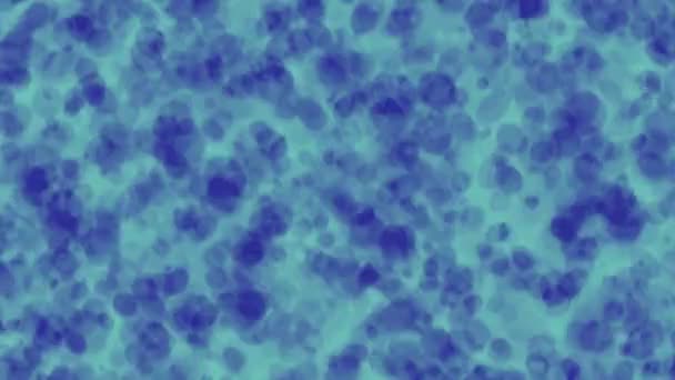 Блакитний Колір Якої Крапки Падає Ефект Рендеринга Абстрактного Фону — стокове відео