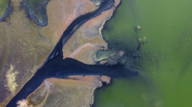 Yeşil göldeki gölette havadan aşağıya doğru karanlık su kirliliği