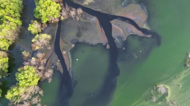 Spadające Nieba Spojrzenie Dół Zanieczyszczenie Czarnej Wody Pobliżu Stawu Mokradłach — Wideo stockowe