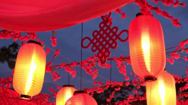 Вибирайте Фокус Оздобленні Китайського Ліхтаря Нова Квітки Орнаменту — стокове відео