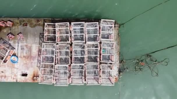 Blick Aus Der Luft Auf Krabbenfalle Dock Meeresnähe — Stockvideo