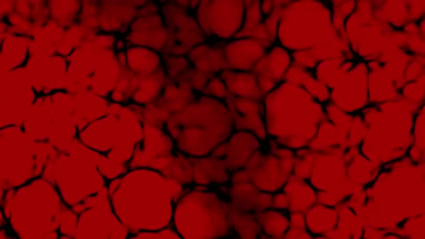 Red Black Caustic Background Shadow Motion Background Rendering Abstract Pattern — Stock Video