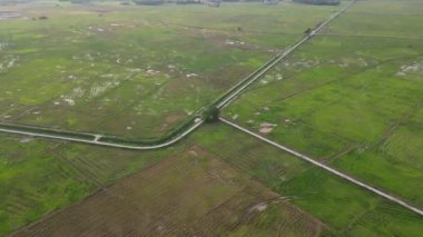 Penang, Malezya 'daki çeltik tarlasında kırsal yol kavşağına doğru havadan hareket