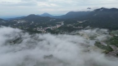 Cameron Highlands 'daki orman yakınlarındaki sebze çiftliğinin havası.