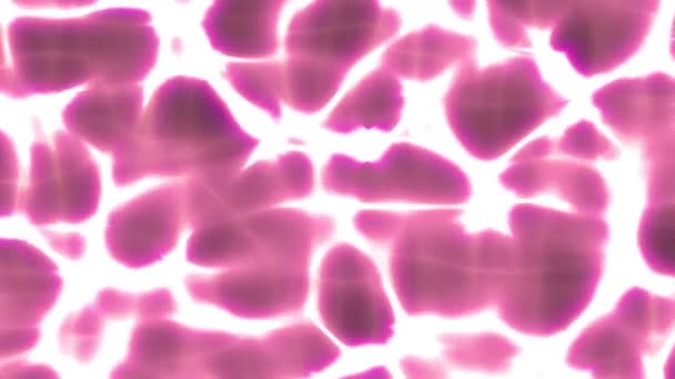 Pink Glow Caustic Flow Animation Background Computer Rendering Pattern — Stock Video
