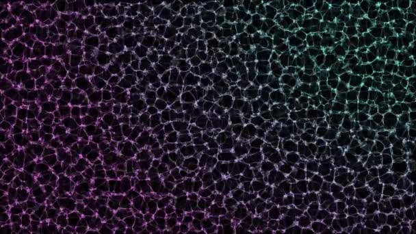 Цветной Фон Голубой Фиолетовой Подсветкой Модель Рендеринга Компьютера — стоковое видео