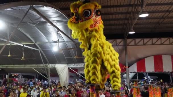 Санта Ара Пинанг Малайзия Апреля 2023 Года Танец Желтого Льва — стоковое видео