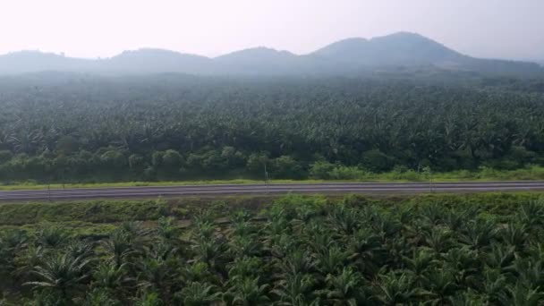 Letecký Posuvný Pohled Železnici Venkovní Palmovou Plantáž Malajsii — Stock video