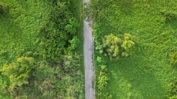 Vzdušný Pohled Cestu Uprostřed Zeleného Pole — Stock video
