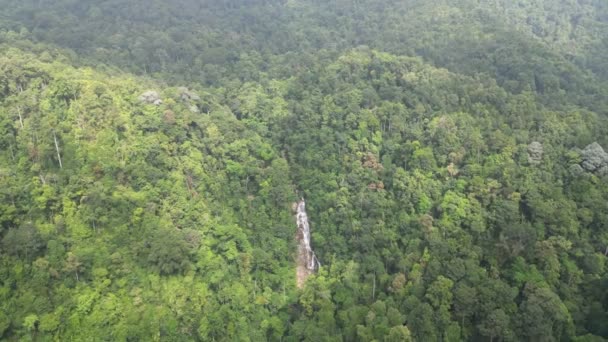Vista Aérea Tirar Fôlego Uma Cachoeira Vibrante Exuberante Floresta Verde — Vídeo de Stock