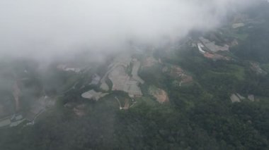 Cameron Highlands 'daki hava manzaralı sebze çiftliği. Cameron Highlands' taki sis bulutunun içinden görünüyor.