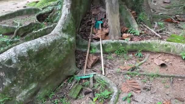 Sebuah Sapu Oleh Tukang Kebun Duduk Samping Cabang Pohon — Stok Video