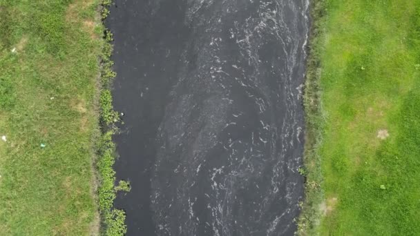 Темное Загрязнение Реки Окружении Пышной Зеленой Травы — стоковое видео